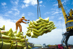 Tích cực tìm thị trường mới cho gạo xuất khẩu